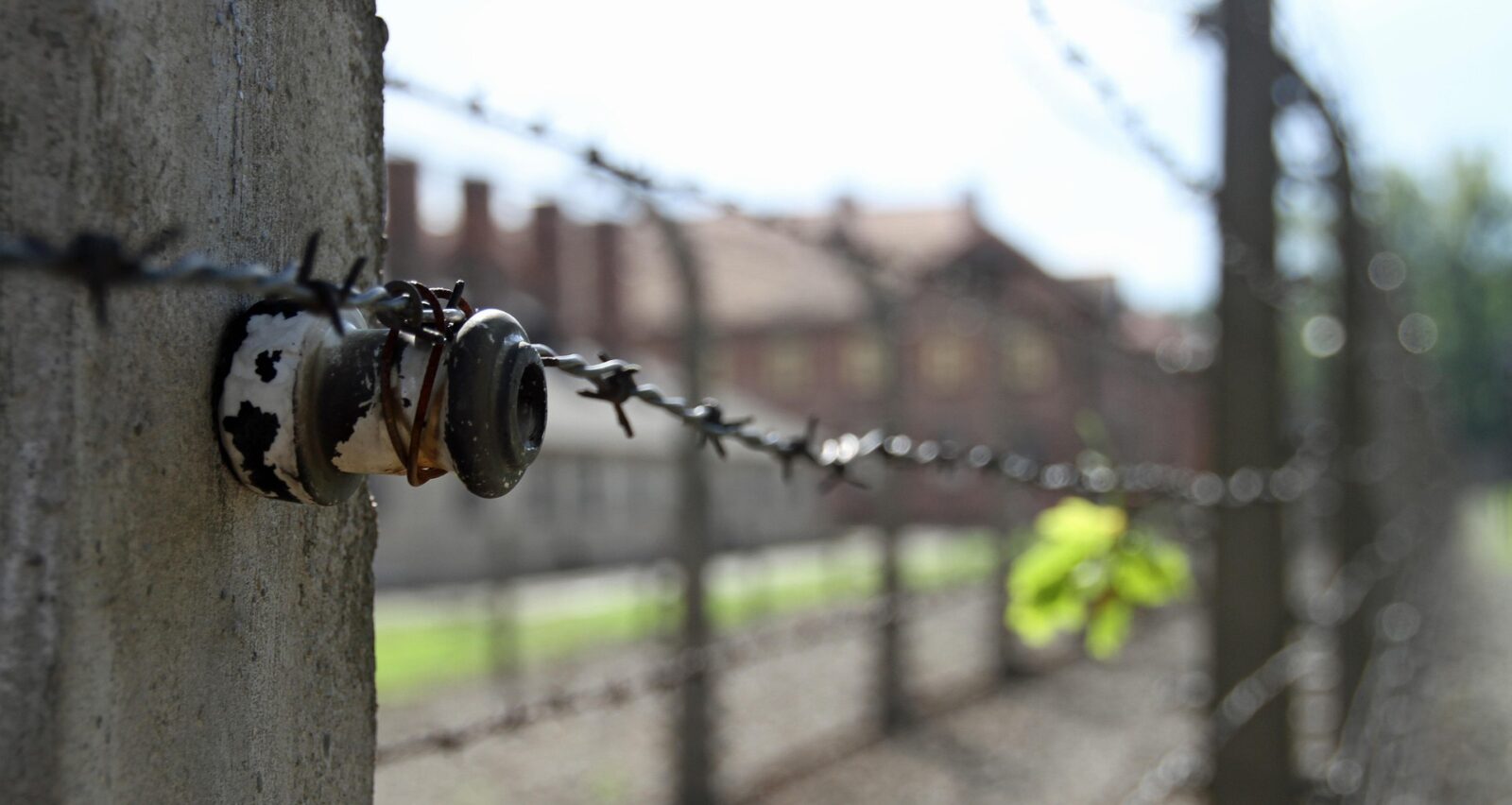 Remembrance is a duty – commemoration is a responsibility